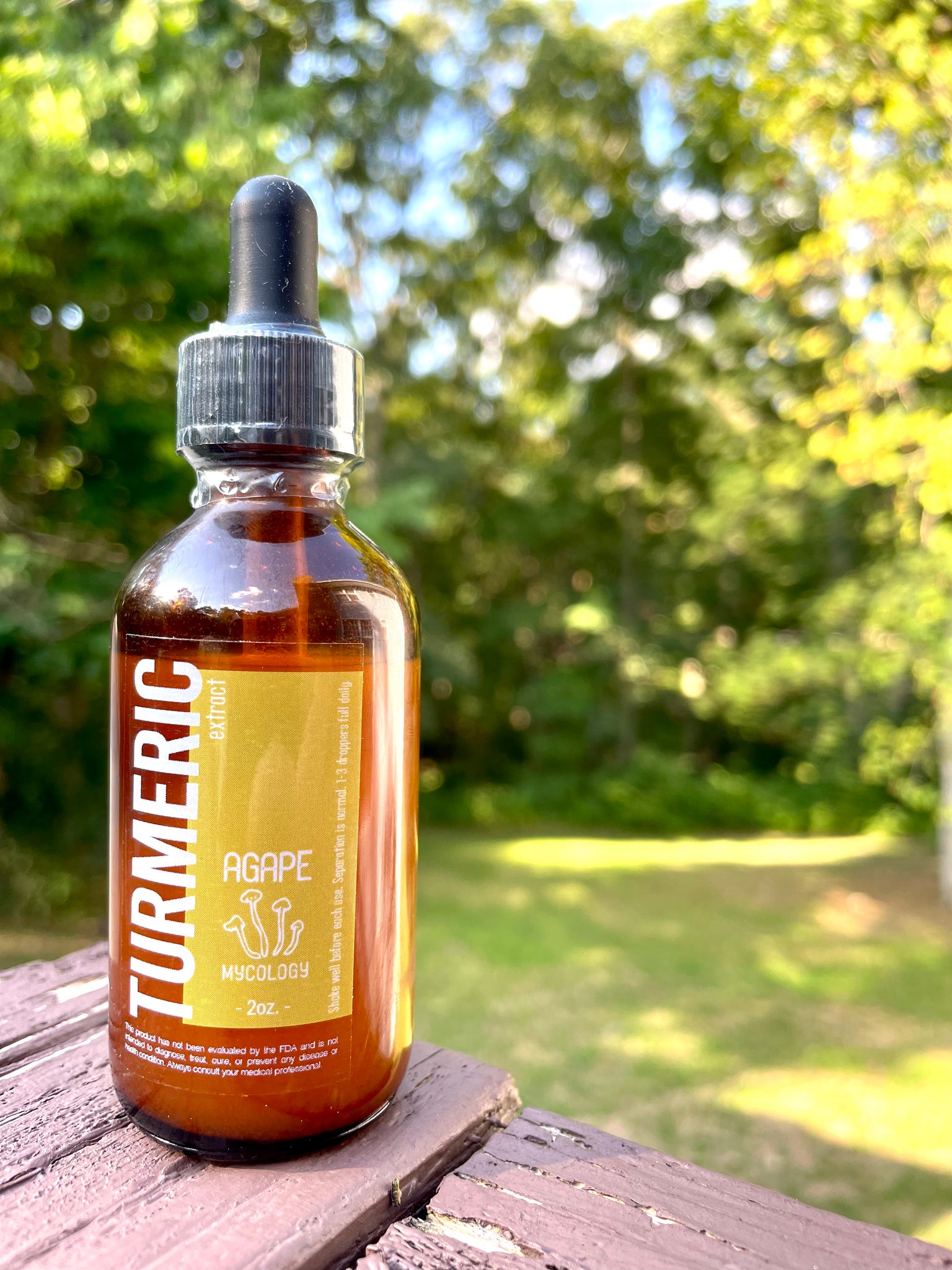 Turmeric & Piperine (2oz)